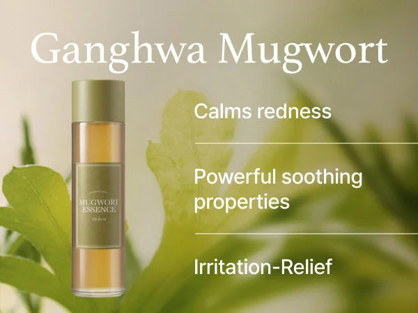I'm From Mugwort Essence